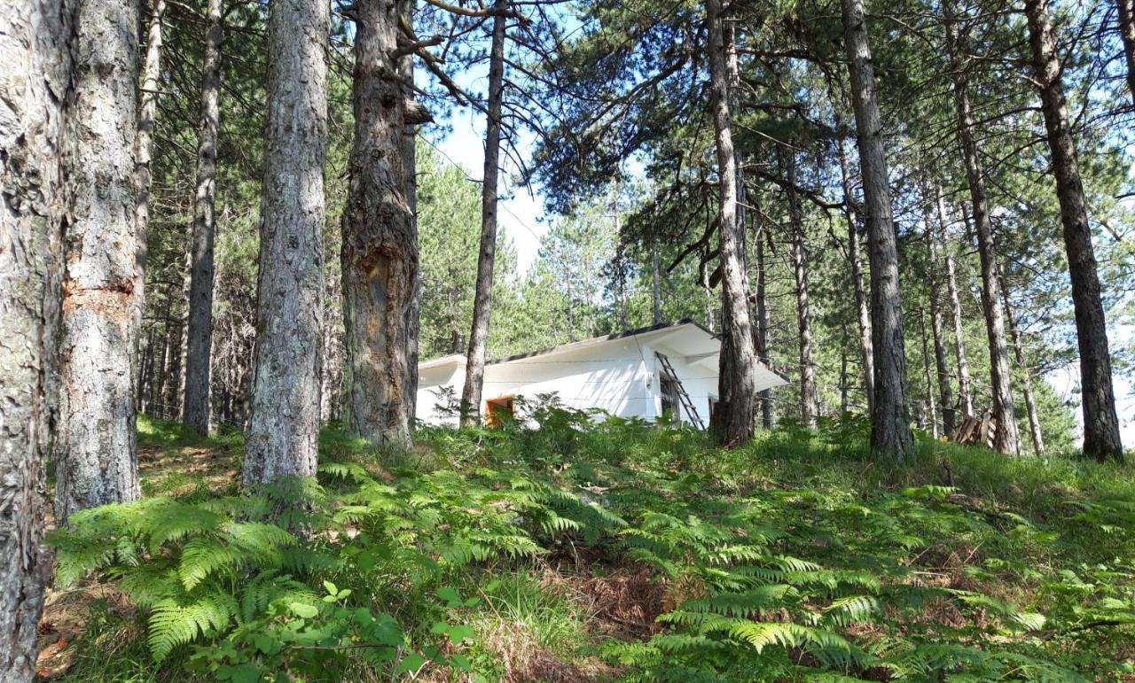 Villa Bujtinat Skenderi Gjinar 2 Esterno foto