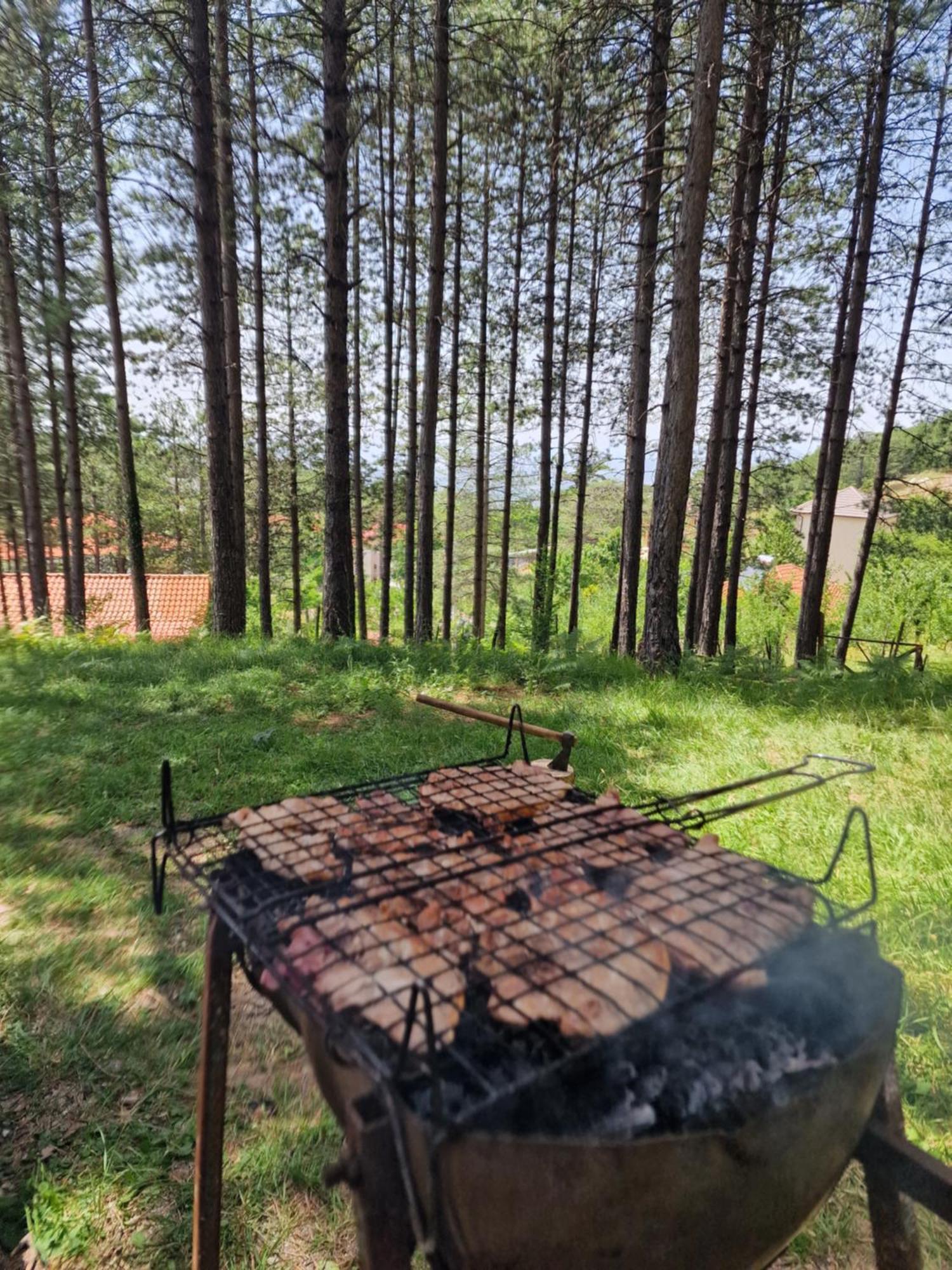 Villa Bujtinat Skenderi Gjinar 2 Esterno foto
